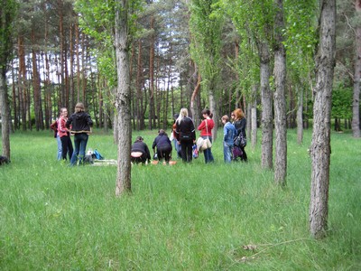 img_1442.jpg